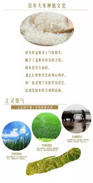 登录/注册后可看大图