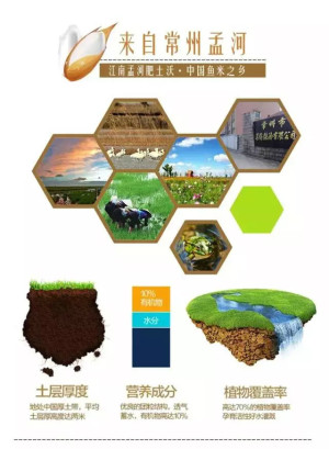 登录/注册后可看大图