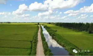 登录/注册后可看大图