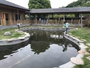 登录/注册后可看大图