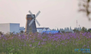 登录/注册后可看大图