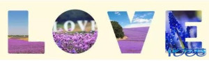 登录/注册后可看大图