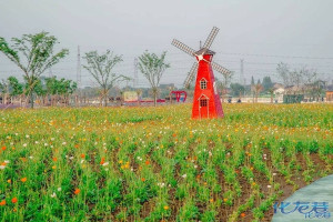 登录/注册后可看大图