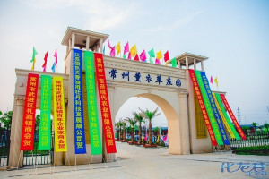 登录/注册后可看大图