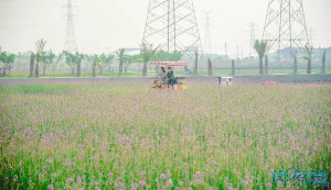 登录/注册后可看大图