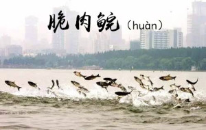 登录/注册后可看大图