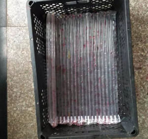 搞水果批发的,还是你们会赚钱!买了一箱杨梅,给