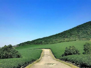 【宜兴龙池山自行车公园】一日游天然氧吧、跑