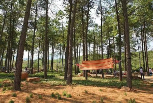 【宜兴龙池山自行车公园】一日游天然氧吧、跑