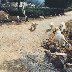 【宜兴龙池山自行车公园】一日游天然氧吧、跑