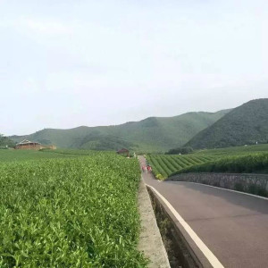 【宜兴龙池山自行车公园】一日游天然氧吧、跑