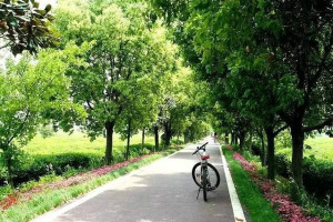 【宜兴龙池山自行车公园】一日游天然氧吧、跑