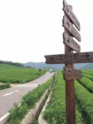 【宜兴龙池山自行车公园】一日游天然氧吧、跑