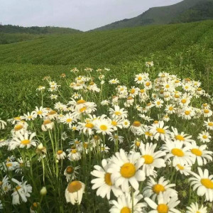 【宜兴龙池山自行车公园】一日游天然氧吧、跑