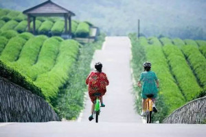 【宜兴龙池山自行车公园】一日游天然氧吧、跑