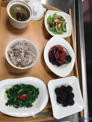 敦南真爱月子会所和江苏一号农场有机蔬菜种植