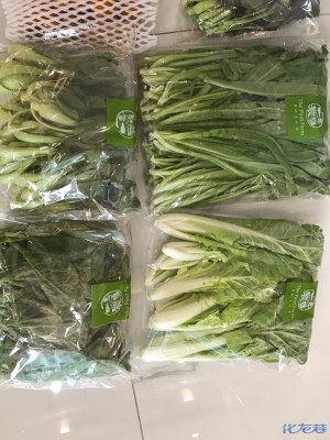 敦南真爱月子会所和江苏一号农场有机蔬菜种植