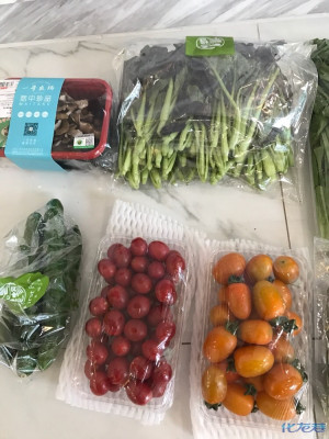 敦南真爱月子会所和江苏一号农场有机蔬菜种植