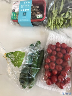 敦南真爱月子会所和江苏一号农场有机蔬菜种植