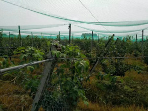 登录/注册后可看大图