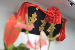 登录/注册后可看大图