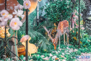 登录/注册后可看大图