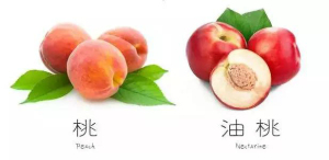 登录/注册后可看大图