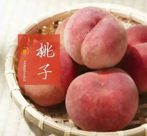 登录/注册后可看大图