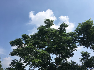 登录/注册后可看大图