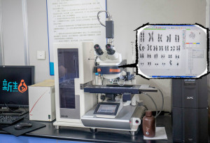 登录/注册后可看大图