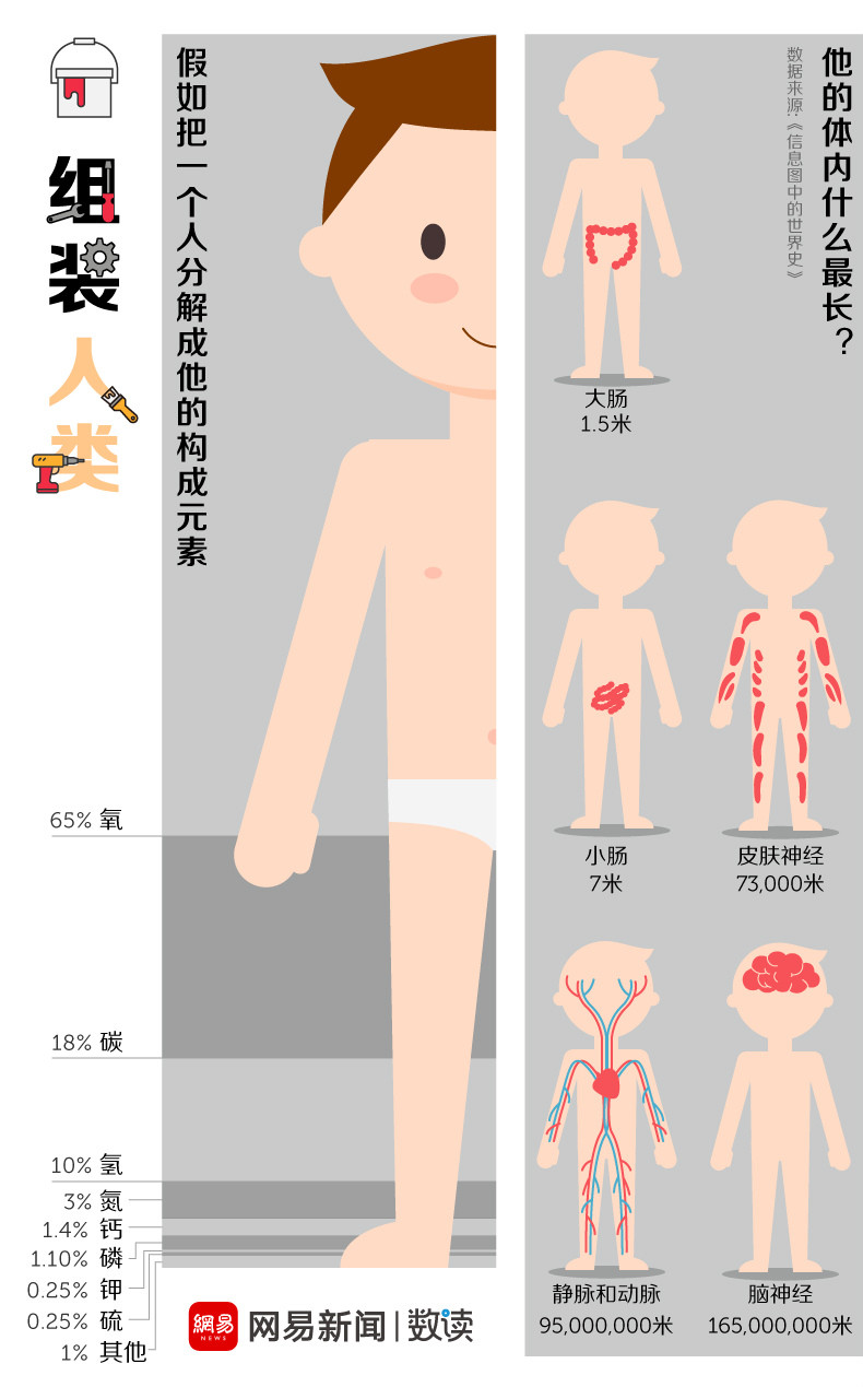 人体如果摄入钾元素过多会怎样