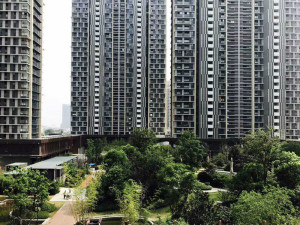 登录/注册后可看大图