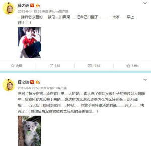 登录/注册后可看大图