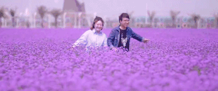 天呐,50元门票竟然可以一票抵三年!国庆这家薰衣草庄园要搞大事情了!