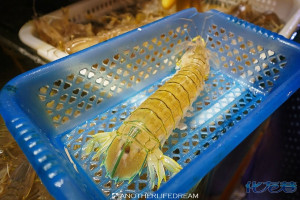 登录/注册后可看大图