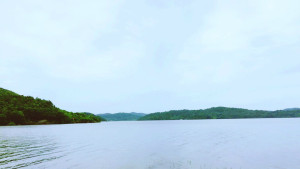 登录/注册后可看大图