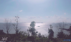 登录/注册后可看大图