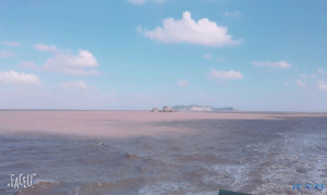 登录/注册后可看大图