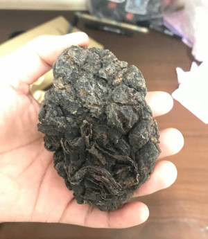 最近在喝的中药里面,有味叫紫河车.手贱百度了