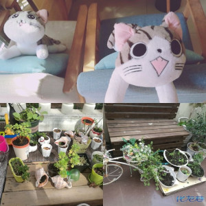 登录/注册后可看大图