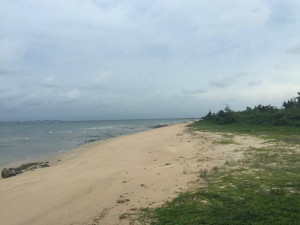登录/注册后可看大图