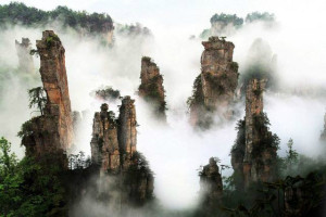 登录/注册后可看大图