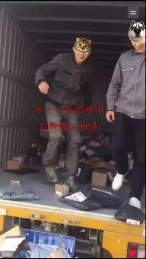 登录/注册后可看大图