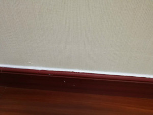 登录/注册后可看大图