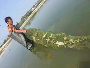 登录/注册后可看大图