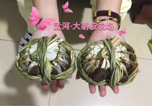 登录/注册后可看大图