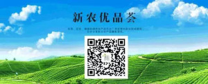 登录/注册后可看大图