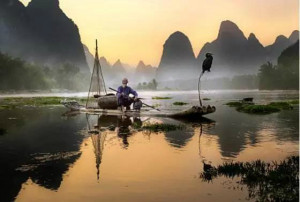 登录/注册后可看大图