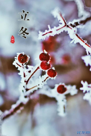 登录/注册后可看大图