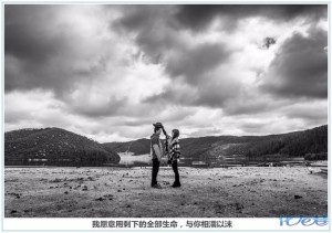 登录/注册后可看大图